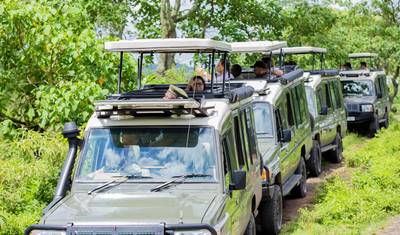 Odkryj nasze światowej klasy 8-dniowe safari w Kenii i Tanzanii: Rozpoczynające się w Nairobi w Kenii, a kończące w Arushy w Tanzanii — 2