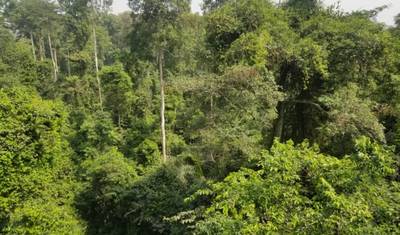 مهرجان AfroFuture غانا 2026 – 8 أيام / 7 ليالٍ — 5