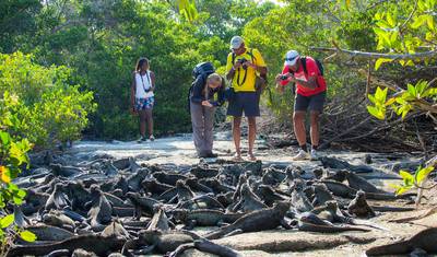 Equador, Galápagos e Peru: Explorador — 3