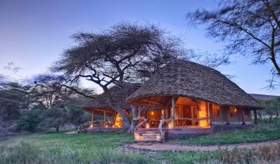 3-dniowe Luksusowe Safari Amboseli — 5