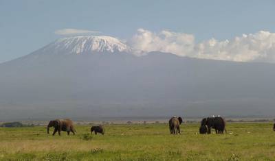 3 Day Amboseli Group Joining Safari -Fixed Departure Dates — 4