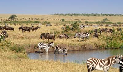 3 Day Amboseli Group Joining Safari -Fixed Departure Dates — 5