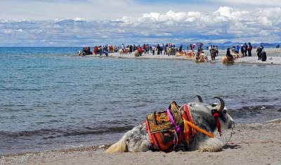 Kailash Manasarovar Full Moon Tour with Guge Kingdom Exploration — 3