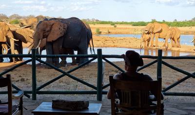 Safari de 3 Dias em Tsavo East Partindo de Mombasa — 5