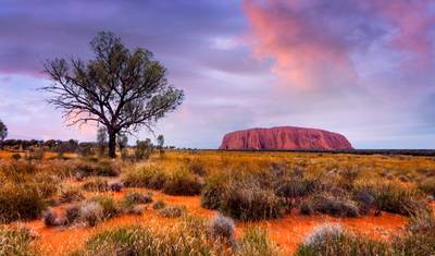 Kings Canyon e Uluru (Escapada Curta) — 4