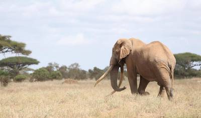 11 Day Luxury Group Joining Safari -Fixed Departure Dates — 5