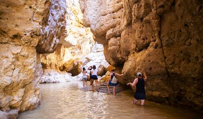 مستكشف الجنوب — 5