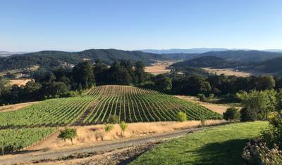 Oregon Coast and the Willamette Valley — 5