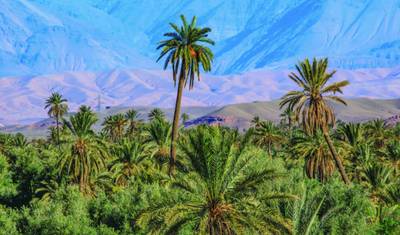 Desert Elegance: A 5-Day Expedition to Erg Chegaga’s Wonders — 2