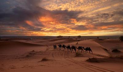 Desert Elegance: A 5-Day Expedition to Erg Chegaga’s Wonders — 3