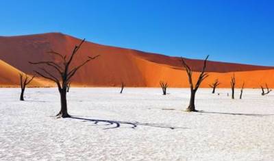 Aventura de 15 Dias na África Austral: Tour de Vida Selvagem e Cultura — 3