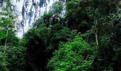 Park Narodowy Gunung Mulu — 2