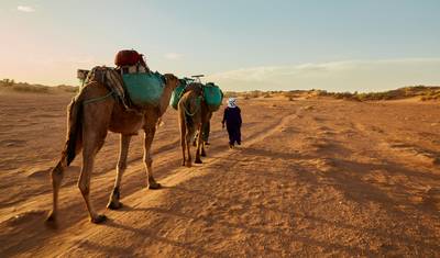 Experiência no Deserto Marraquexe – Caminhada de Camelo 4 Dias — 2
