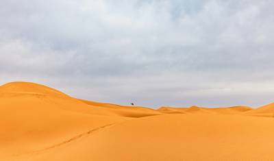 Experiência no Deserto Marraquexe – Caminhada de Camelo 4 Dias — 4