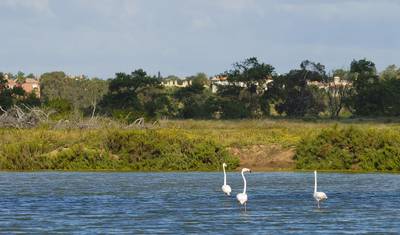 Passeio de caminhada autoguiado pela costa do Algarve — 5