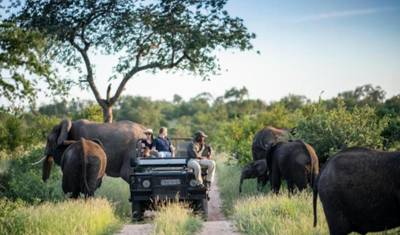5-dniowy obóz Simbavati George Camp (Większy Kruger) All-Inclusive — 4