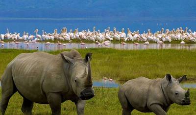 Tanzania 5  Days - Unique Wildlife Experiences — 3