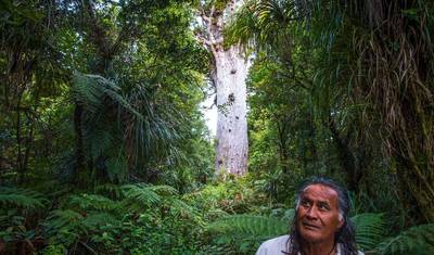 Enchanting Northland — 5