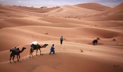 Morocco Camel Desert Trek – On The Trail Of The Alchemist — 2