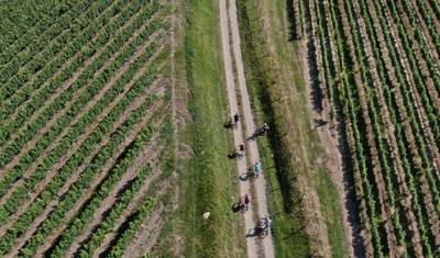 Dealu Mare Bike&Wine Escape Days — 2