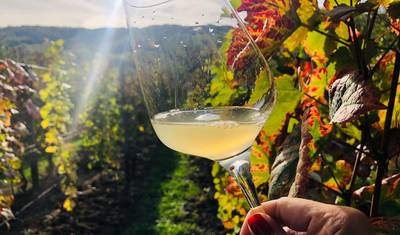 Dealu Mare Bike&Wine Escape Days — 4