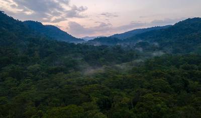 04 Days Unforgettable Rwanda Gorilla Trekking Journey — 2