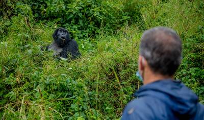04 Days Unforgettable Rwanda Gorilla Trekking Journey — 4