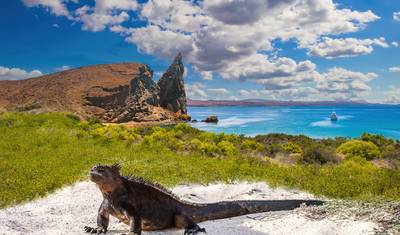 Geluxe: Ecuador: Volcanoes, the Amazon & the Galápagos Islands — 3