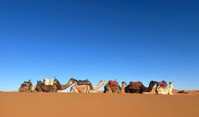 Excursão de 6 Dias ao Deserto do Saara de Fez para Marraquexe, Marrocos — 5