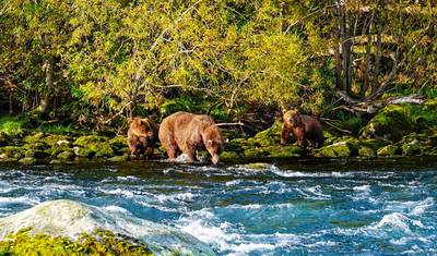 Customized 11 Days Romania Private Trip with Carpathians, Daily Start & Exclusive Car — 3