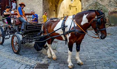 Customized 11 Days Romania Private Trip with Carpathians, Daily Start & Exclusive Car — 5