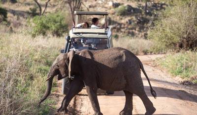 10-dniowe luksusowe safari „Wielka Piątka” w Tanzanii, wycieczka kulturowa i wycieczka na plażę Zanzibaru (lot lokalny) — 5