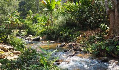 Iconic Thailand In 12 Days — 5