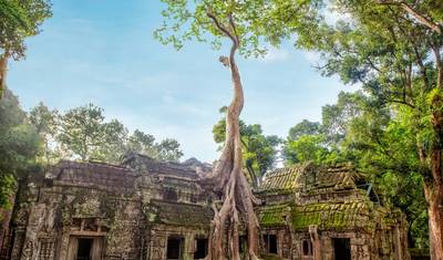 Mekong Discovery Siem Reap からホーチミン市へ 9日間 - プライベートツアー — 5