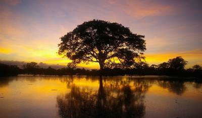 11 Day Hidden Bolivian Jungle Expeditions — 2