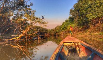 11 Day Hidden Bolivian Jungle Expeditions — 5