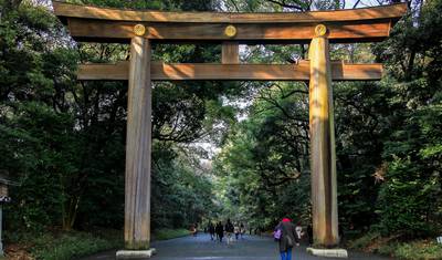 Urzekająca Japonia: Od Zgiełku Tokio do Spokoju Kioto (Prywatna, Szyta na Miarę) — 4
