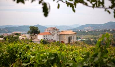 Degustação de Vinhos e Escapada para Vinhedos perto de Tirana — 4