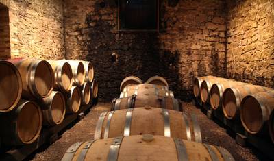 Degustação de Vinhos e Escapada para Vinhedos perto de Tirana — 3