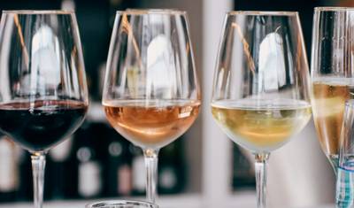 Degustação de Vinhos e Escapada para Vinhedos perto de Tirana — 5