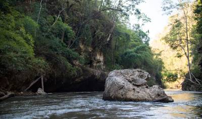 Explorador da Vida Selvagem de Umphang — 3