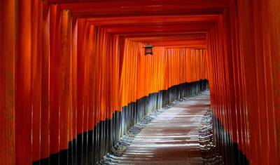 9 Days Deluxe Japan Tour (private guide & driver） — 3