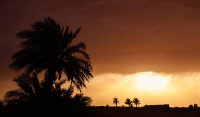 Excursão de 5 Dias de Marraquexe a Merzouga (Privada) — 4