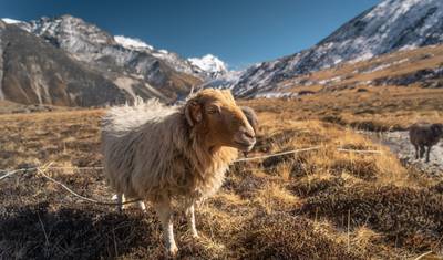 Expedição ao Mera Peak — 5