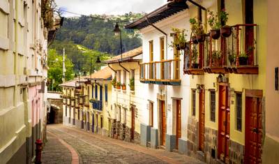 11 Days around Ecuador:  A Journey Through Nature and Culture — 3
