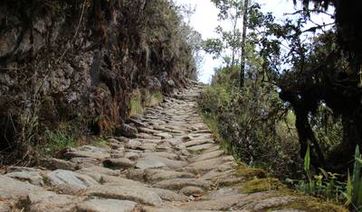 4 Day Inca Trail To Machu Picchu - Private Service — 3