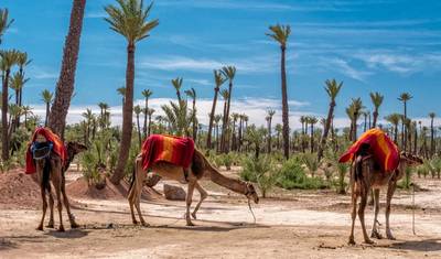 Merzouga desert tour from Marrakech — 3