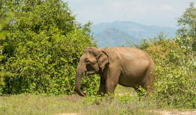From Delhi to Colombo: 26-Day India & Sri Lanka Tour — 4