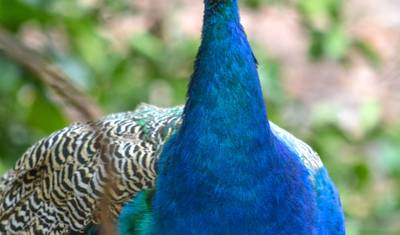 ザンジバル14日間：ビーチと海の休日、文化、歴史、そして海岸アドベンチャーの旅 — 5