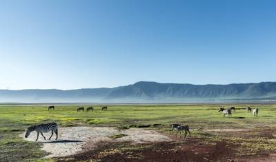 4 Days Tanzania Group Safari: Tarangire, Serengeti & Ngorongoro Crater — 3